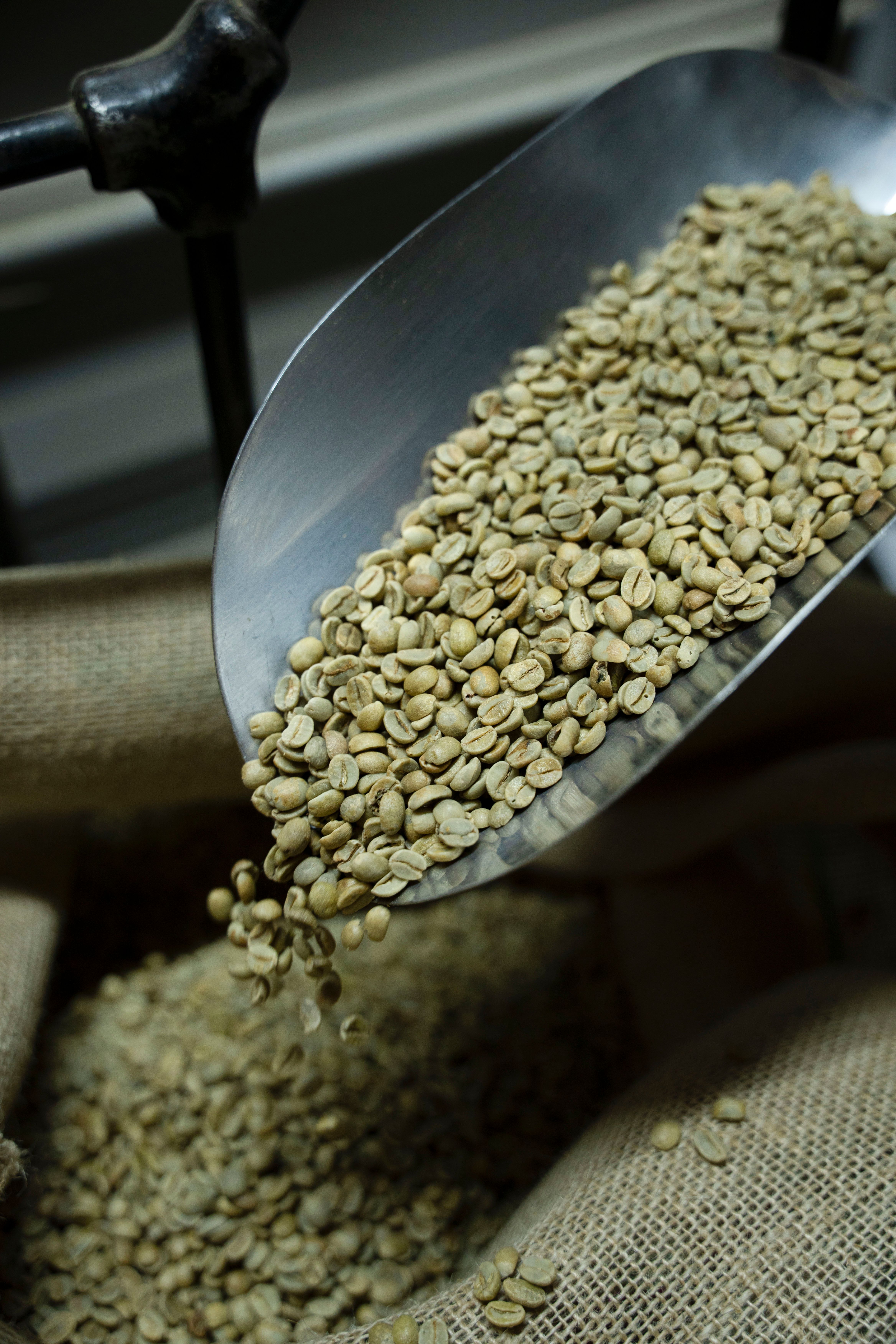 Green coffee beans